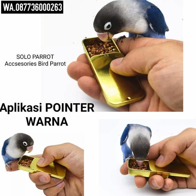 Produk Unggulan] Pointer Warna untuk Burung Parrot