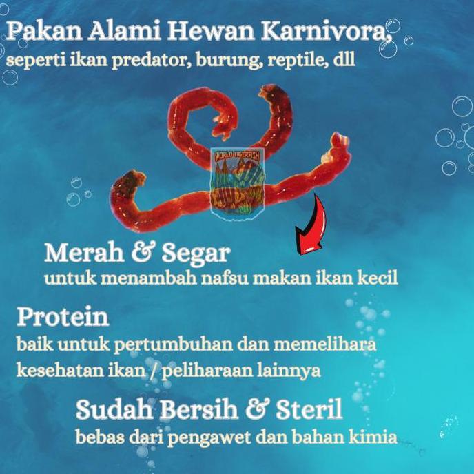 Cacing Darah Merah Beku Lempeng 250Gr Pakan Ikan Hias & Predator Bloodworm Cacing Beku Pakan Ikan Cu