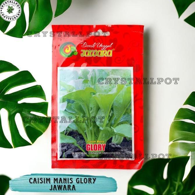 Gard- Benih Bibit Caisim Manis Glory Benih Unggul Jara - Caisim Manis Glory