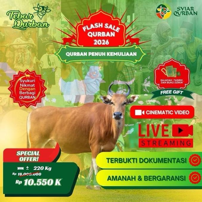 PREMIUM / PROMO Sapi Qurban 1 Ekor (1-7 Nama Pequrban) Full Distribusi Daging Ke Pelosok