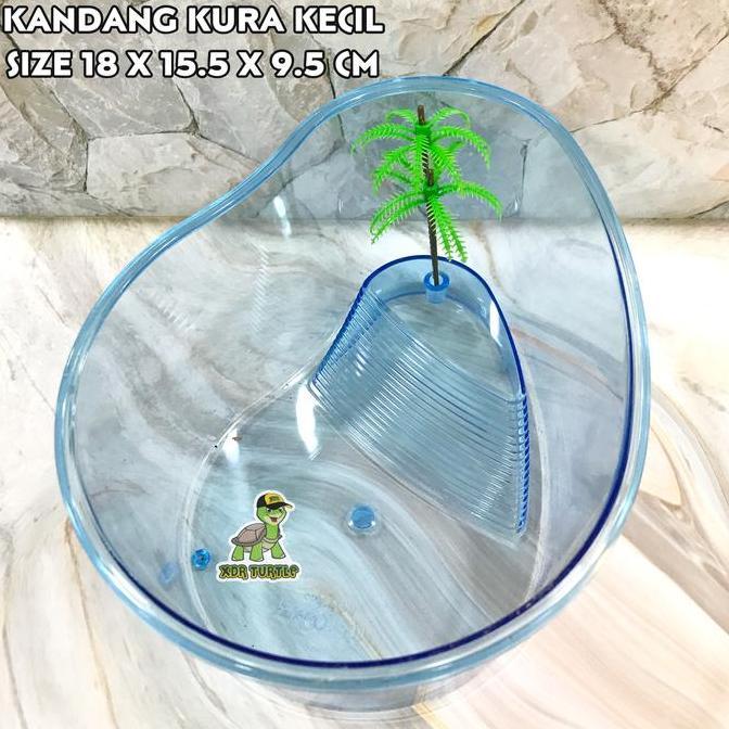 PROMO MURAH KANDANG KURA KECIL KURA AIR RES BRAZIL PICTA GECKO SIMPLE