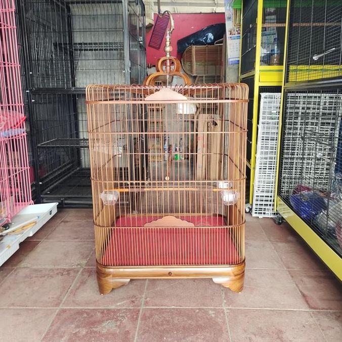 Sangkar Burung Cucak Rowo,Jalak Bali,Jagal Papua,Kayu Jati Terlaris.