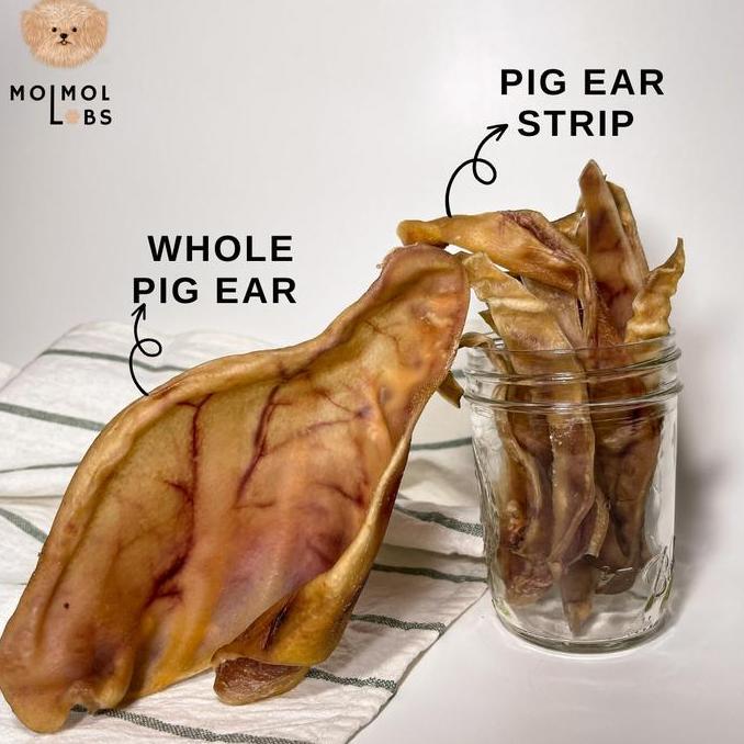 Pig Ear Dog Snack / Treat
