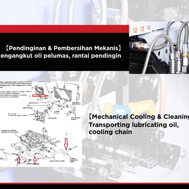 Stainless Steel Flexible Coolant Oil Hose / Selang Stainless Fleksibel