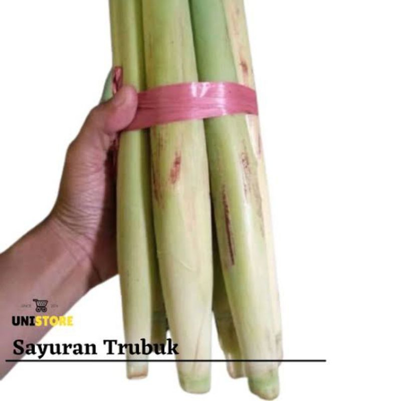 

trubuk terubuk telur tiwu satu iket isi 12pcs