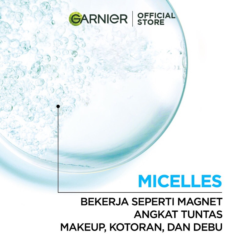 Garnier Micellar Cleansing Water Salicylic BHA