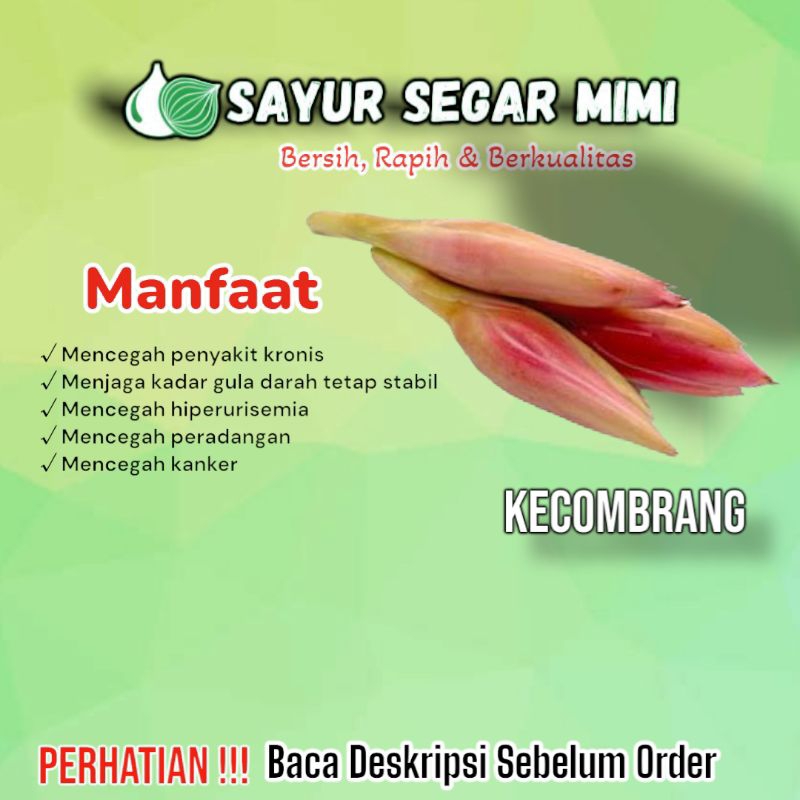 

Kecombrang 1 Pcs - Sᴀʏᴜʀ Sᴇɢᴀʀ ♏ɪᴍɪ