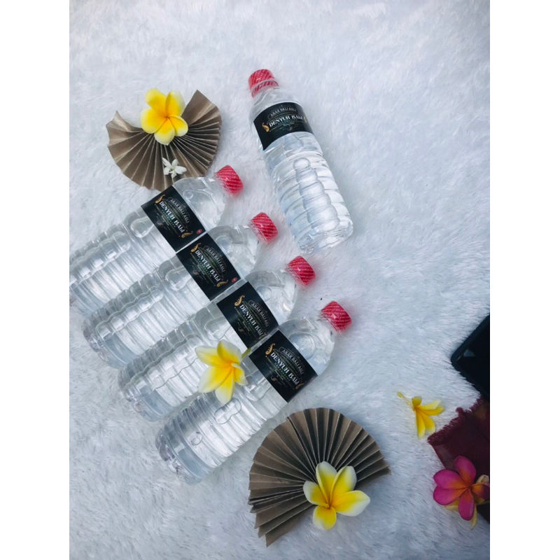 

PAKET HALUS ISI 5 PCS MINUMAN KELAPA BALI HERBAL 600 ML/Pcs