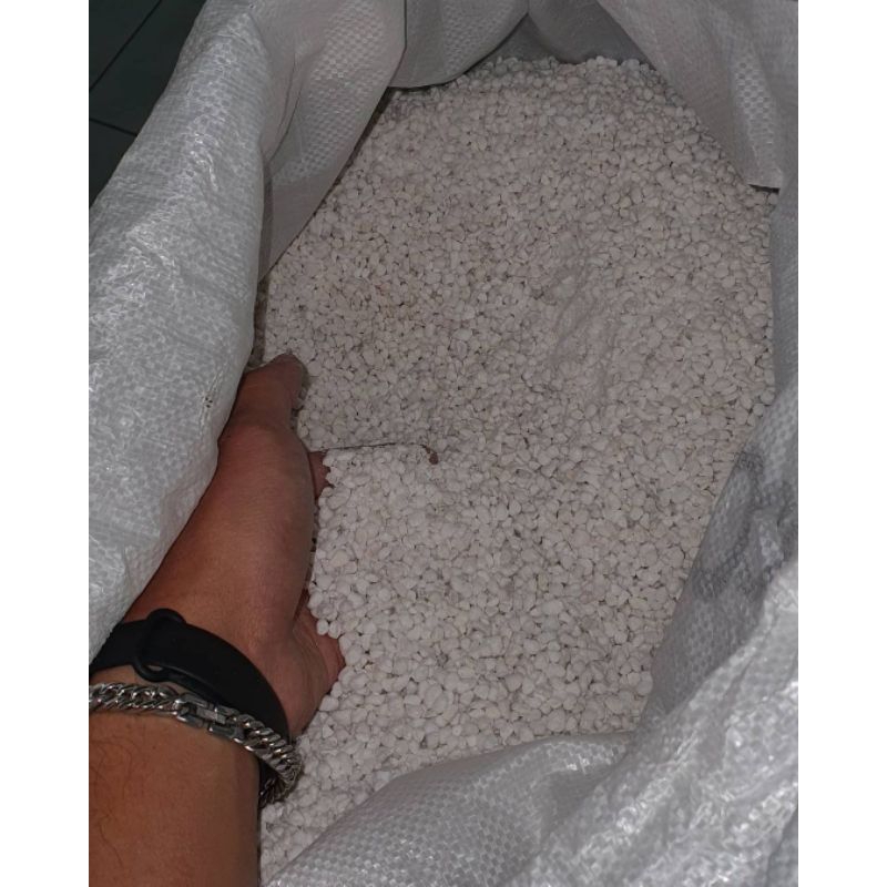 MEDIA TANAM PERLITE 2-4 MM 100 GRAM REPACKED