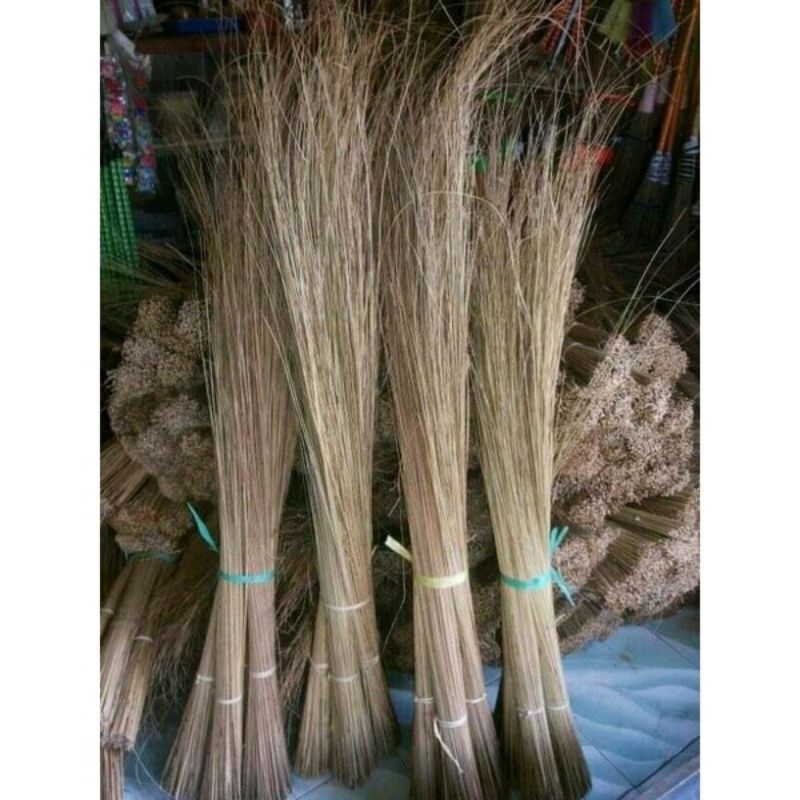 sapu lidi / sapu lidi taman / sapu lidi tanpa gagang kuat