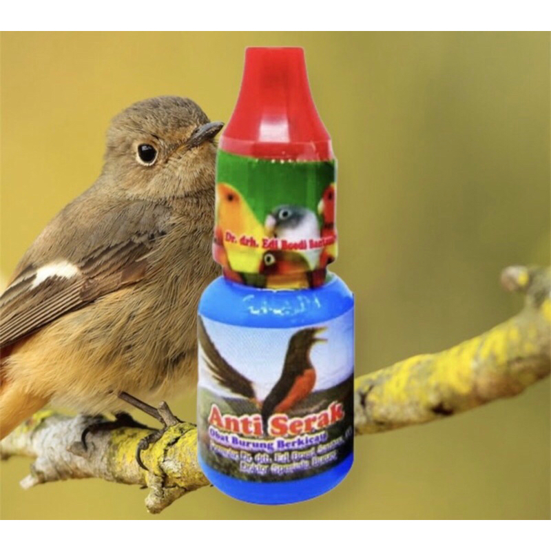 Obat Burung Anti Serak