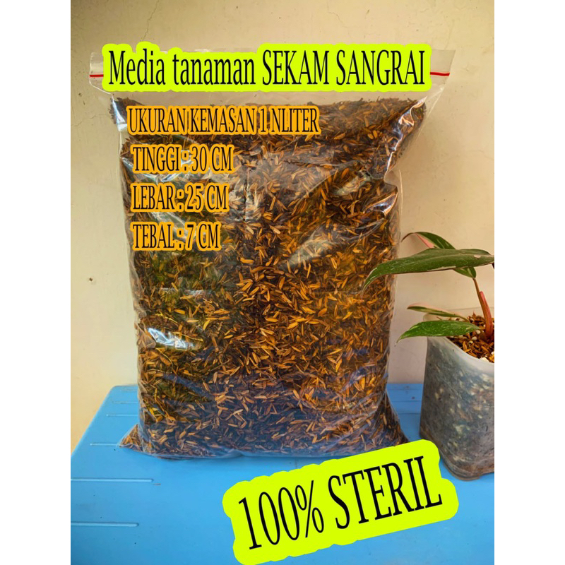 Media tanam SEKAM SANGRAI
