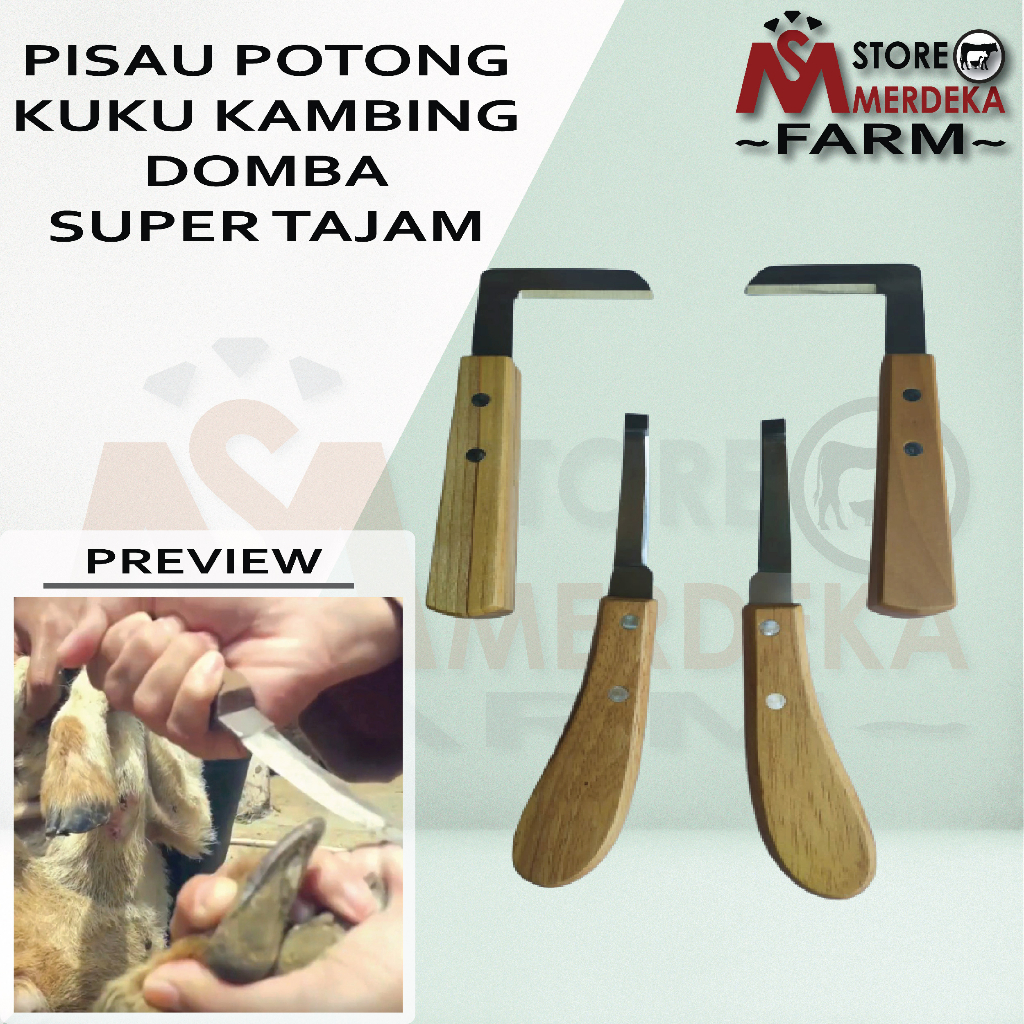 Pisau Potong Kuku dan Tanduk Domba Kambing Sapi Kuda
