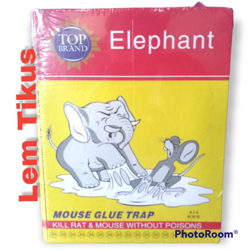 

lem tikus gajah