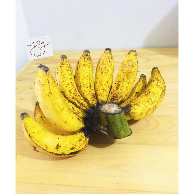 

Fresh | Pisang Barangan 1 sisir