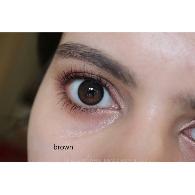 Softlens Olens Glowy Brown by Urban factory MINUS (0,50 - 10,00) dia 14,5