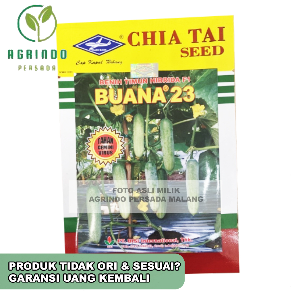 Benih Timun Buana 23 20gram | Benih Buana 23 20 Gram | Timun Buana Cap Kapal Terbang