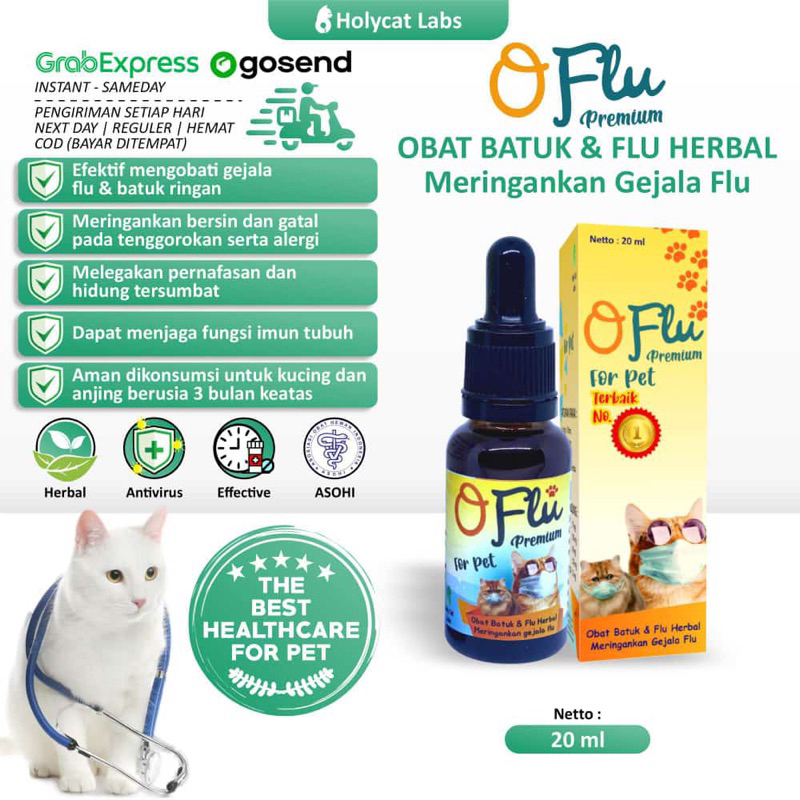 obat flu kucing o-flu