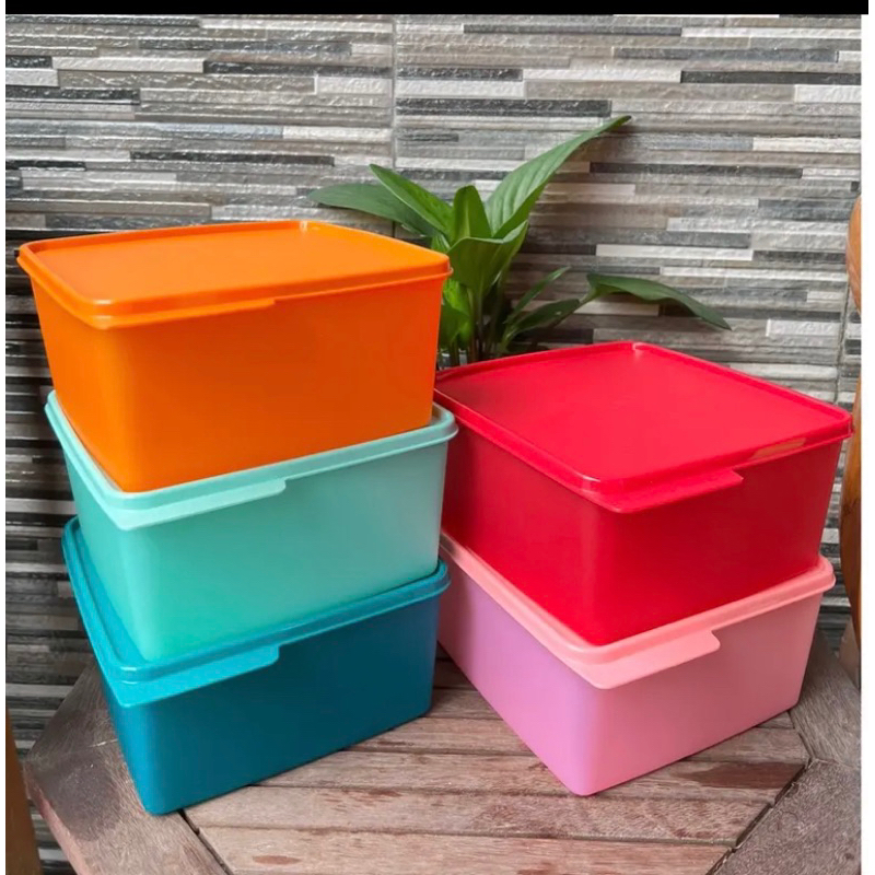 TUPPERWARE Large CozyNest 2,5L BIG SALE kotak makan