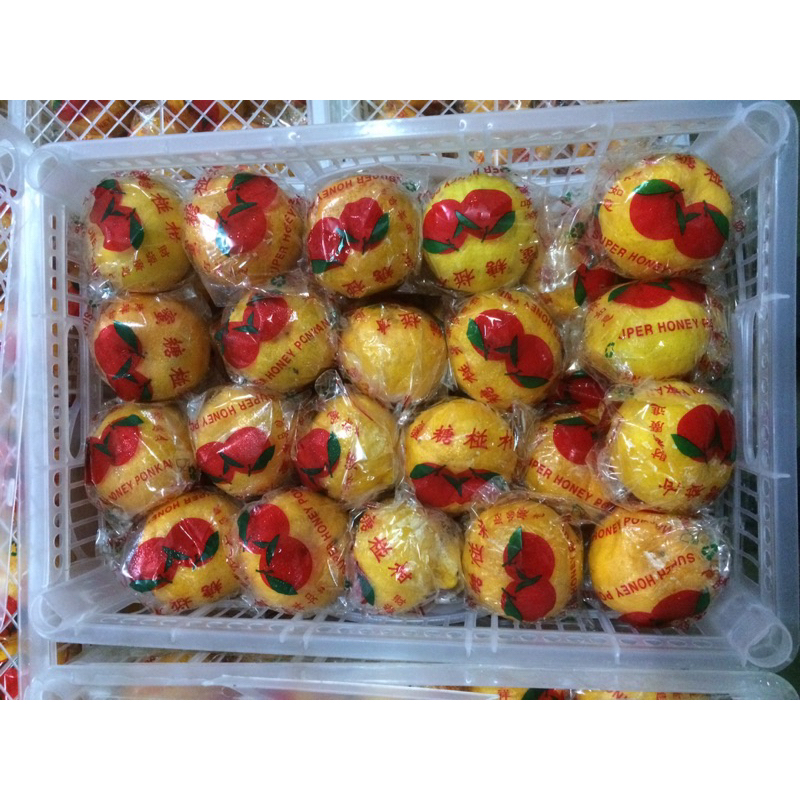 

ponkam madu (1 keranjang @ 9 kg)