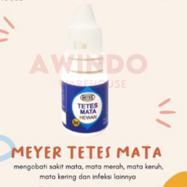 obat tetes mata hewan