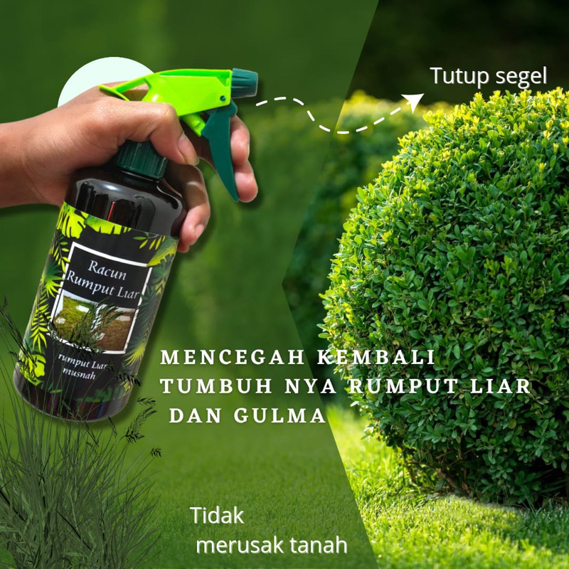 KEMASAN 3LITER JUMBO SIAP PAKAI BASMI SAMPAI AKAR AKARNYA RUMPUT LIAR/ALANG ALANG DAN GULMA