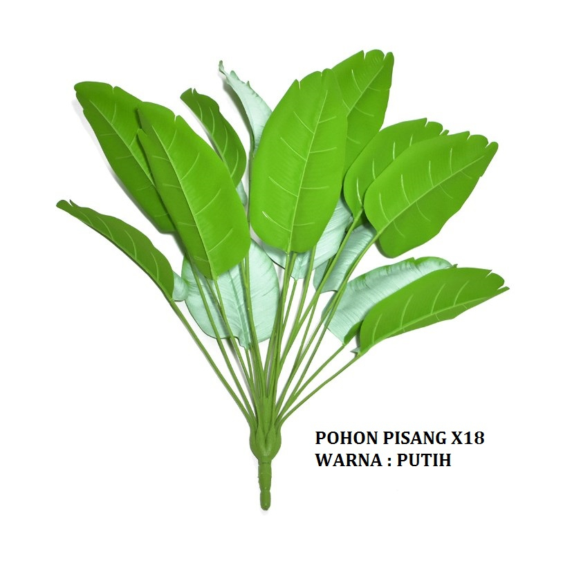 Pohon Pisang Tinggi 1 meter x24 Daun ( TANPA POT )