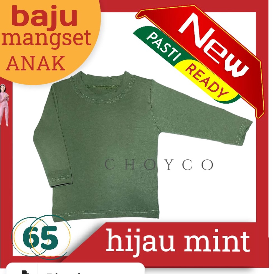 Mangset anak lengan panjang usia 6 Bulan - 13 Tahun/atasan anak/kaos anak Hijau Mint