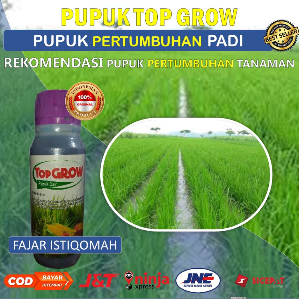 (BISA BAYAR DIRUMAH) TOP GROW 500 ML PUPUK PELEBAT PADI JADI TOP, PUPUK PENYUBUR PADI, PUPUK PENYUBUR TANAMAN, PUPUK PENYUBUR PADI, PUPUK PENYUBUR TANAMAN PADI, PUPUK NPK PENYUBUR TANAMAN PADI, PUPUK PENYUBUR DAUN DAN BUAH TANAMAN PADI, PUPUK CAIR