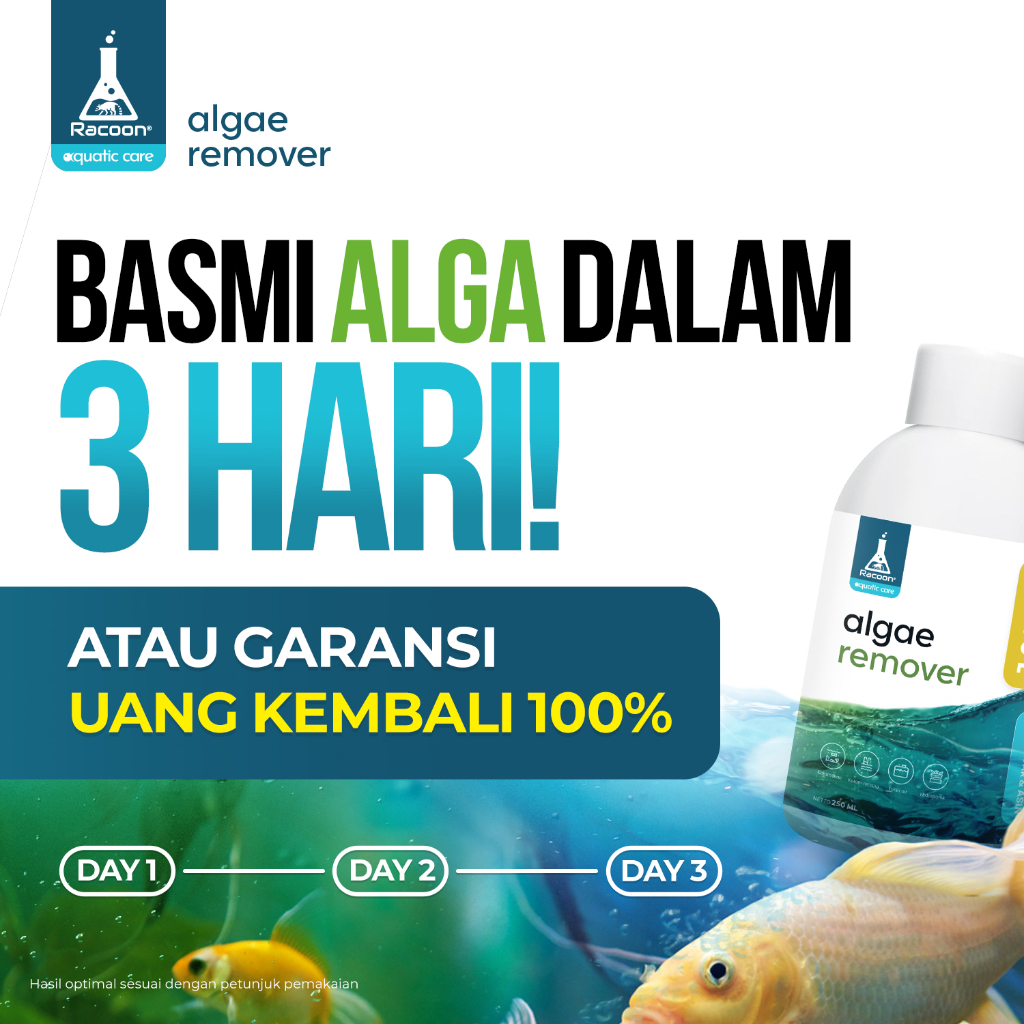RACOON Algae Remover untuk 10 Ton Air / Anti Alga / Pembasmi Lumut / Pembasmi Alga