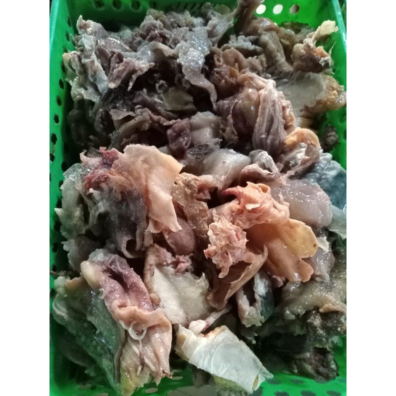 

tetelan matang kepala sapi asli/terempuk/termurah/fresh/asli