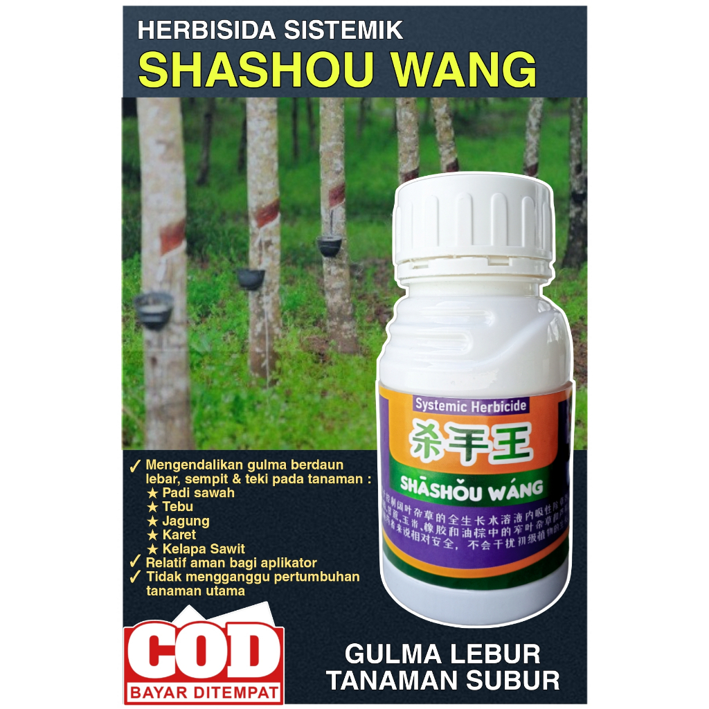 SHASHOU WANG,HERBISIDA SISTEMIK,HERBISIDA SELEKTIF PADI,HERBISIDA PURNA TUMBUH,HERBISIDA PRA TUMBUH,