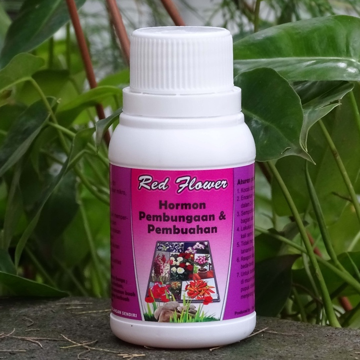 hormon pembungaan, hormon giberelin, GA3, RED FLOWER 100 ml