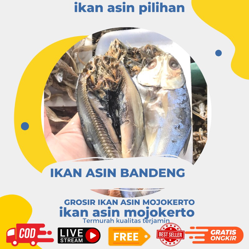 

Ikan Asin Bandeng Belah 250gr Harga Murah & Kualitas Terbaik