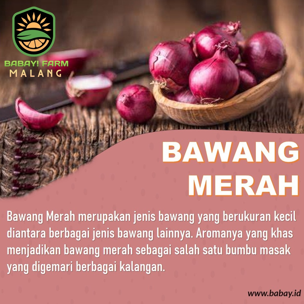 

Bawang Merah 250 500 gr / 1 kg