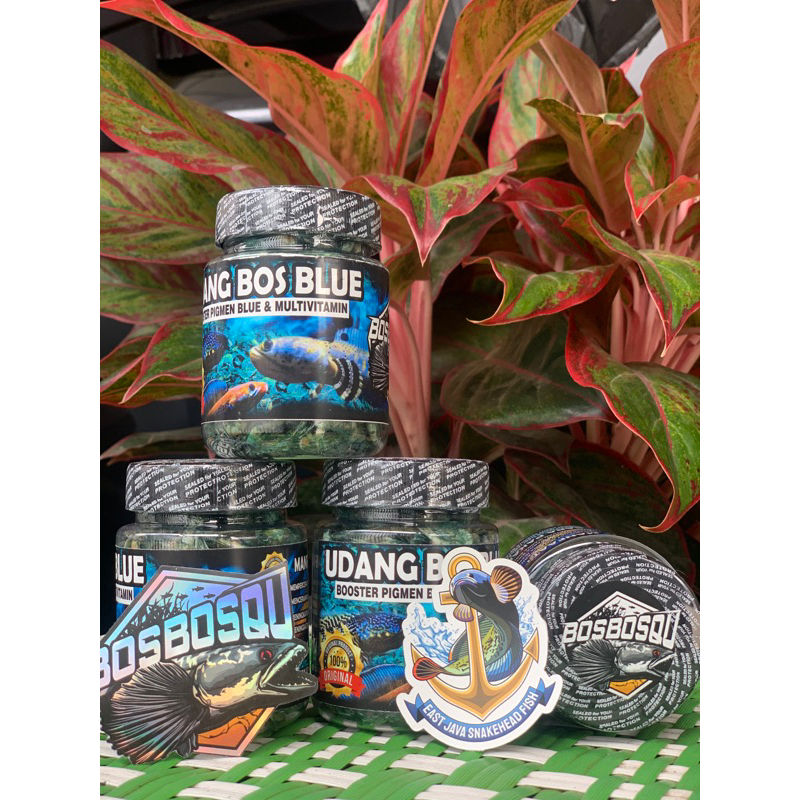 Udang Blue Bos-bos Qu