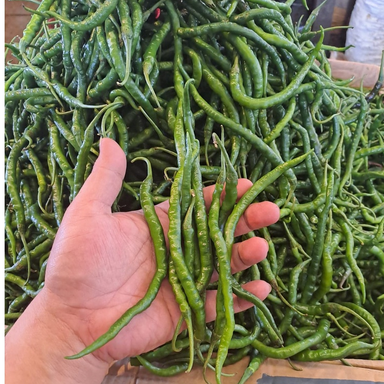 

Cabe Keriting Ijo 500 gram