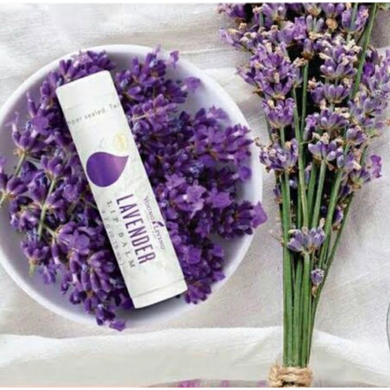 young living lip balm lavender