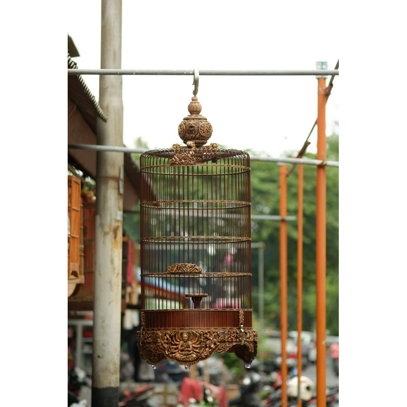 sangkar ukir burung branjangan sangkar branjangan