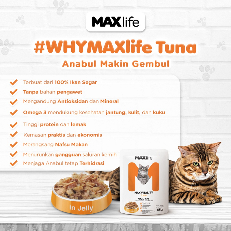 MAXLife Adult Cat/ Kitten 85 gr Sachet