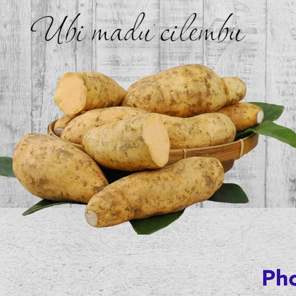 

ubi madu/ubi madu cilembu/ubi cilembu/Ubi Madu Cilembu 1kg/ubi madu cilembu mentah/makanan