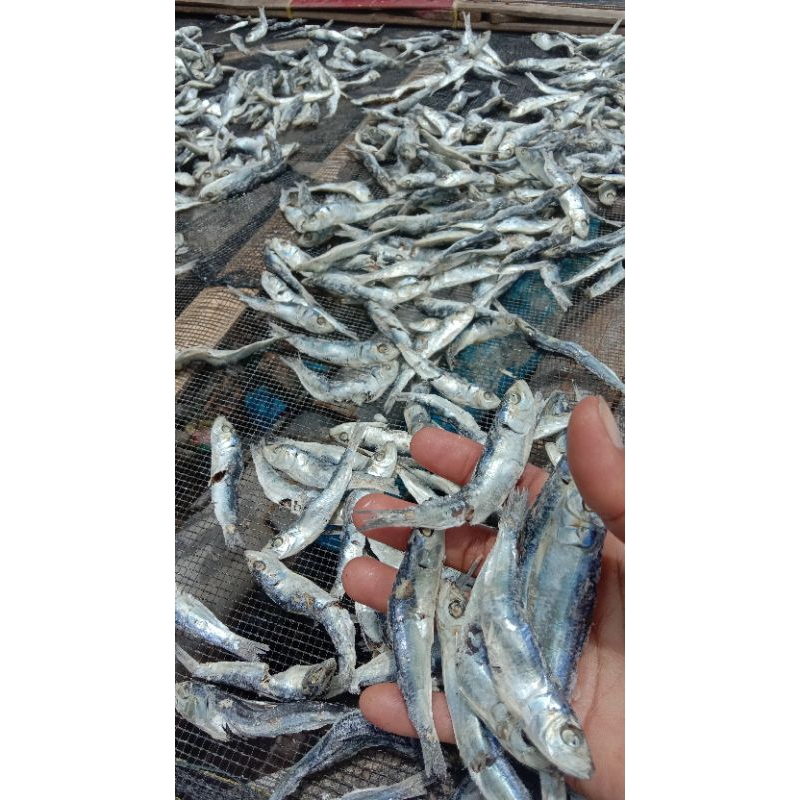 

ikan asin