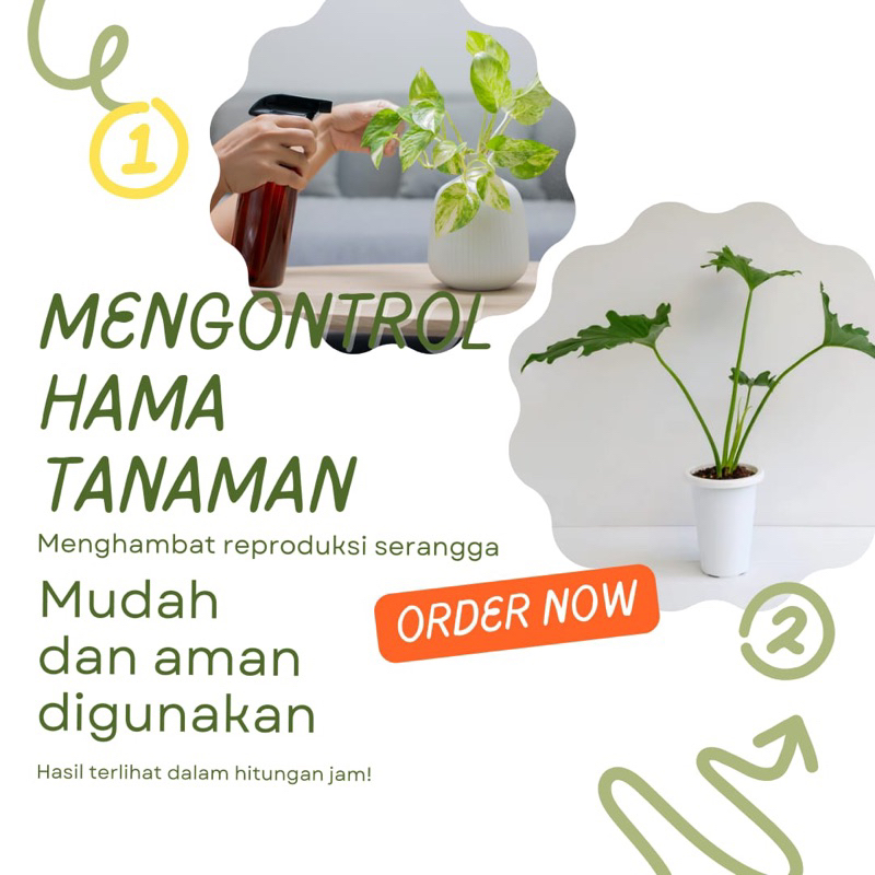 siap pakai pembasmi hama daun dan tanaman seperti kutu putih dan halam lainnya 250ml