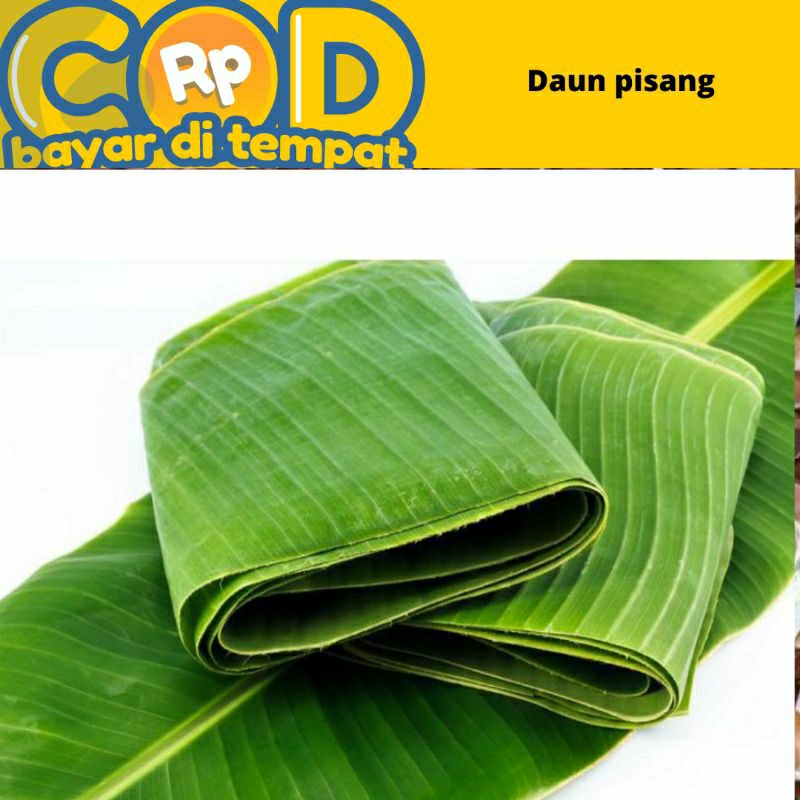 

daun pisang /godong gedang fress petik dari pohon 1 kg