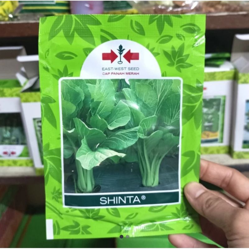 shinta 25gram cap panah merah benih bibit sawi hijau