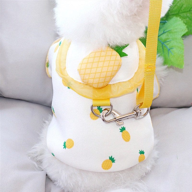 Mallory korea fruit harness set with leash