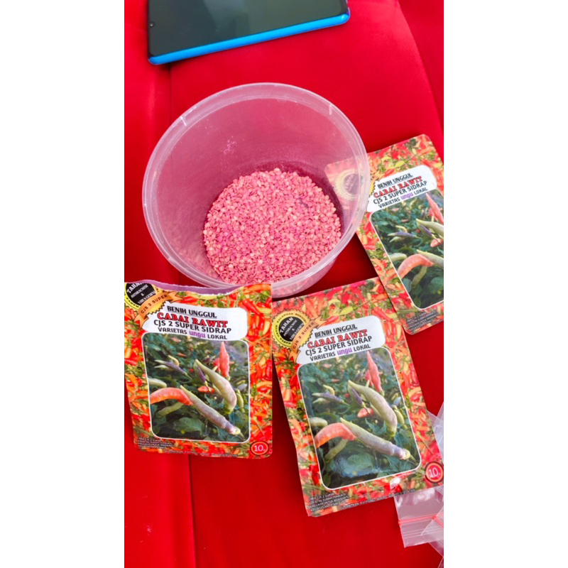 Isi 100 Biji Benih Cabe Salo Dua CJS 2 rawit SUPER SIDRAP-repacking F1 seeds