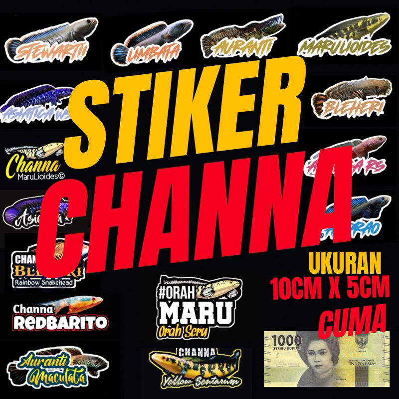 

STIKER CHANNA 10cm x 5cm 1000an