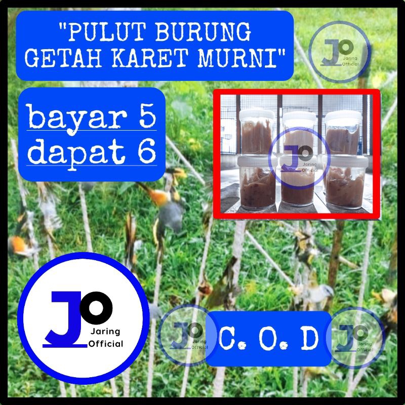 Pulut getah karet 25gram , lem pulut burung, pulut burung jebakan burung