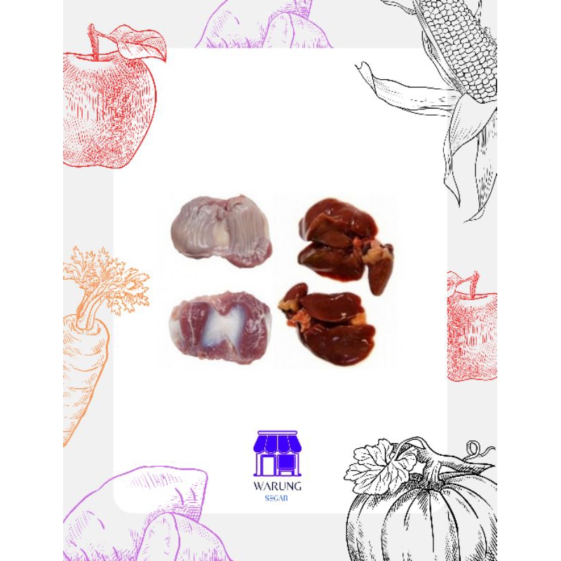 

ATIAMPELA/HATI AMPELA AYAM SEPASANG SEGAR